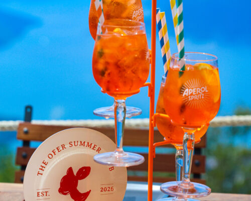 Ofer summer club montenegro